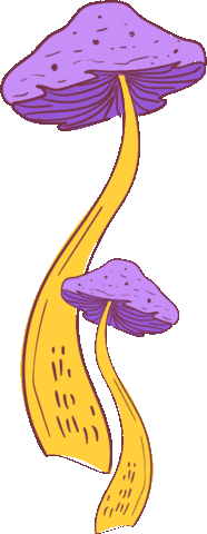 Plant Dada Sticker