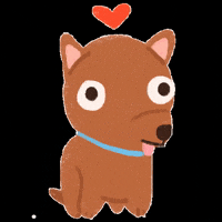 visaalmundo asia turismo vacaciones viaje GIF