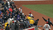 fan wow GIF by MLB