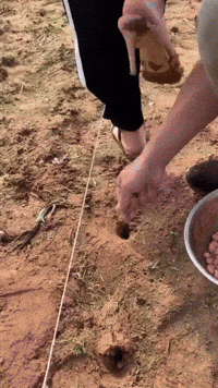 high heels farming GIF