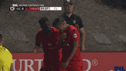 happy phoenix rising fc GIF by USL