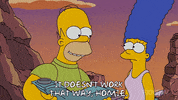 Episode 19 GIF by The Simpsons