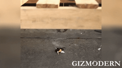 GizModern giphyupload GIF