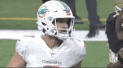 Miami Dolphins Football GIF by NFL
