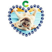 Covabra Petestar Pet Sticker by Covabra Supermercados