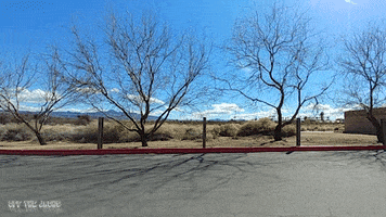 cars cruising GIF by Off The Jacks