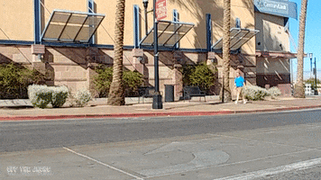 classic cars GIF by Off The Jacks