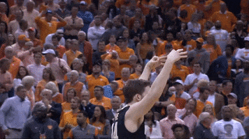 Lets Go Reaction GIF by Purdue Sports
