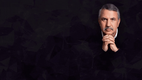 serjdeputat giphygifmaker GIF