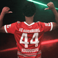 Football Sport GIF by FC Augsburg 1907