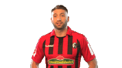 sc freiburg celebration Sticker by SCF