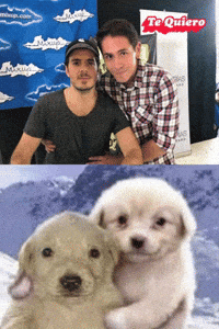 Pxndx GIF