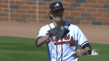 Major League Baseball Sport GIF by MLB