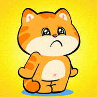 Cat Fun GIF by UpStudiosWorld