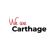 tunivisionsfoundation tunisia tunisie carthage tunivisions Sticker