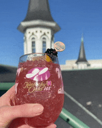 Horse Racing Cheers GIF by Kentucky Derby