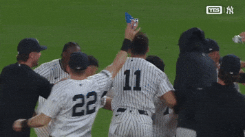 New York Yankees Win GIF by MLB