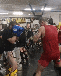FightAcademyStargard fas stargard fight academy fightacademy GIF