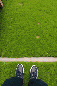 basedchadhq meme crypto chad based GIF