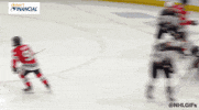 Celebration Goal GIF by NHL