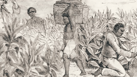 TelemundoUy giphyupload GIF