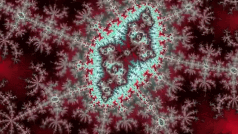 Benoit Mandelbrot Lsd GIF by xponentialdesign