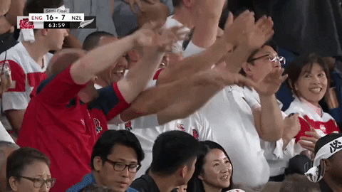 World Rugby Party GIF by Rugby World Cup