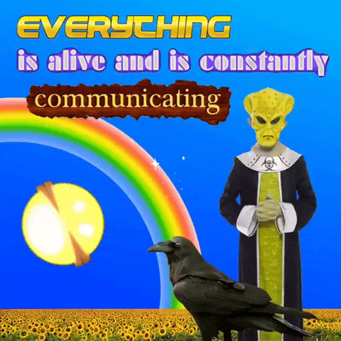 Rainbow Magic GIF by Edgar Fabián Frías