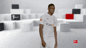 Posing Line Up GIF by Bundesliga