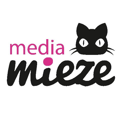 Kitty Blink Sticker by mediamieze