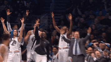 celebrate all-star GIF by NBA