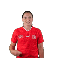 Link Switzerland Sticker by Swiss Football Association