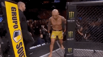ufc sports sport ufc mma GIF