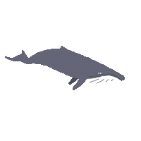 fun summer Sticker by parley