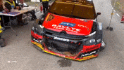 Disappointed Game Over GIF by FIA World Rally Championship