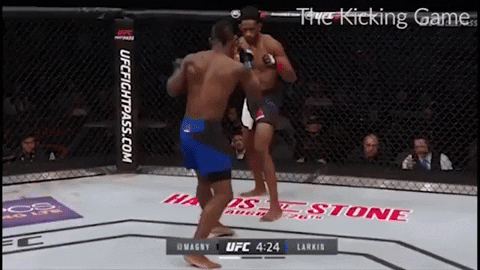 Combat_Sports_Fan giphygifmaker GIF