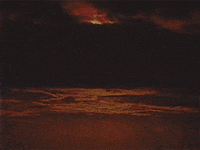 vintage vhs GIF by rotomangler