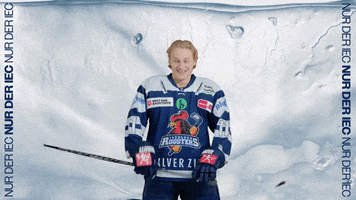 Hockey Tor GIF by Iserlohn Roosters