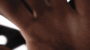 Germany Football GIF by Bundesliga