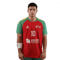 Ehfeuro Sticker by Federação de Andebol de Portugal