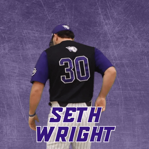 Baseball Wesleyan GIF by KWC Panthers