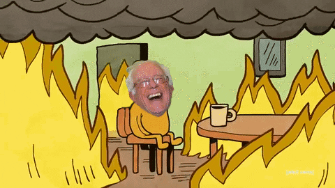 Bernie Sanders Reaction GIF by reactionseditor