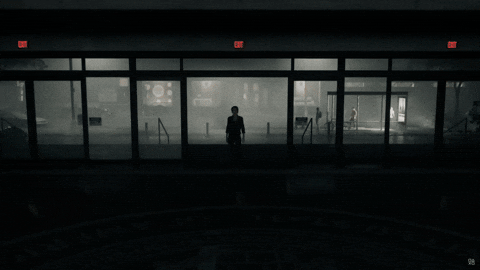 Action Adventure Fps GIF