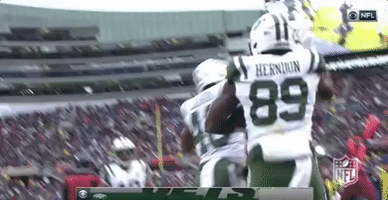 celebrate 2018 nfl GIF by NFL