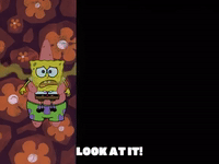 season 2 something smells GIF by SpongeBob SquarePants