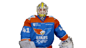 unisflyers hockey save eagles flyers Sticker