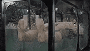 the curse of frankenstein horror GIF by Warner Archive