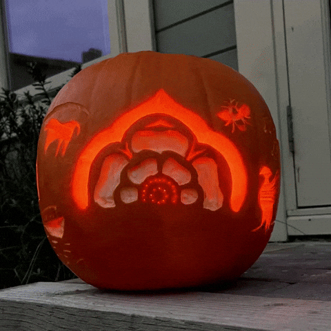 EnglandsNorth halloween pumpkin spinning bee GIF