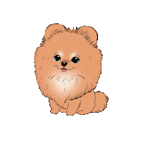 Pomeranian Pom Sticker