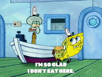 season 5 new digs GIF by SpongeBob SquarePants